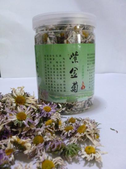 金紫尖野菊花