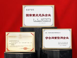 152g信阳红茶礼盒