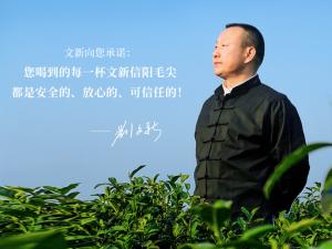 信阳毛尖实惠茶