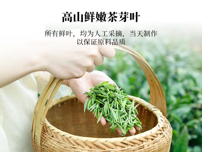 50g信阳毛尖茶（明前手工）