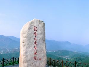 100g茶村优选A60